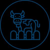 Livestock