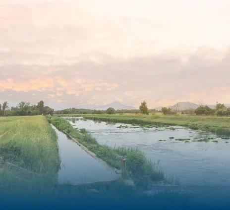 Flood Irrigation