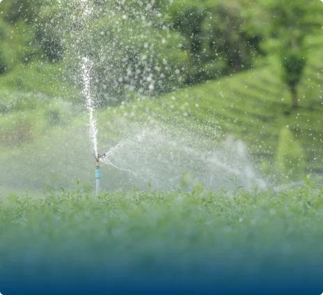 Sprinkler Irrigation