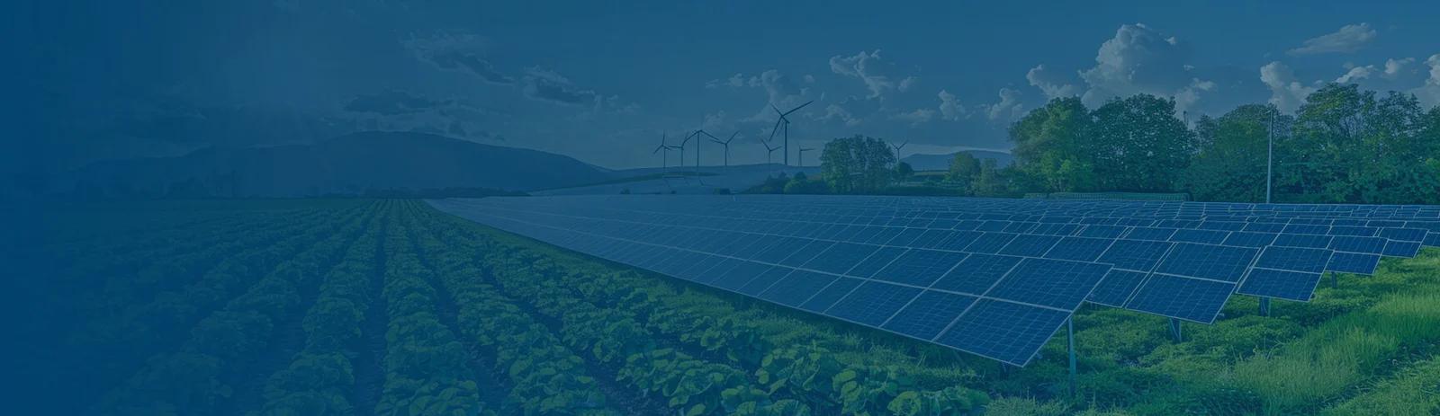 Gardening & Fountain