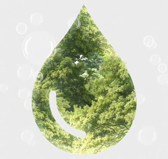 Sustainability at Roto Energy